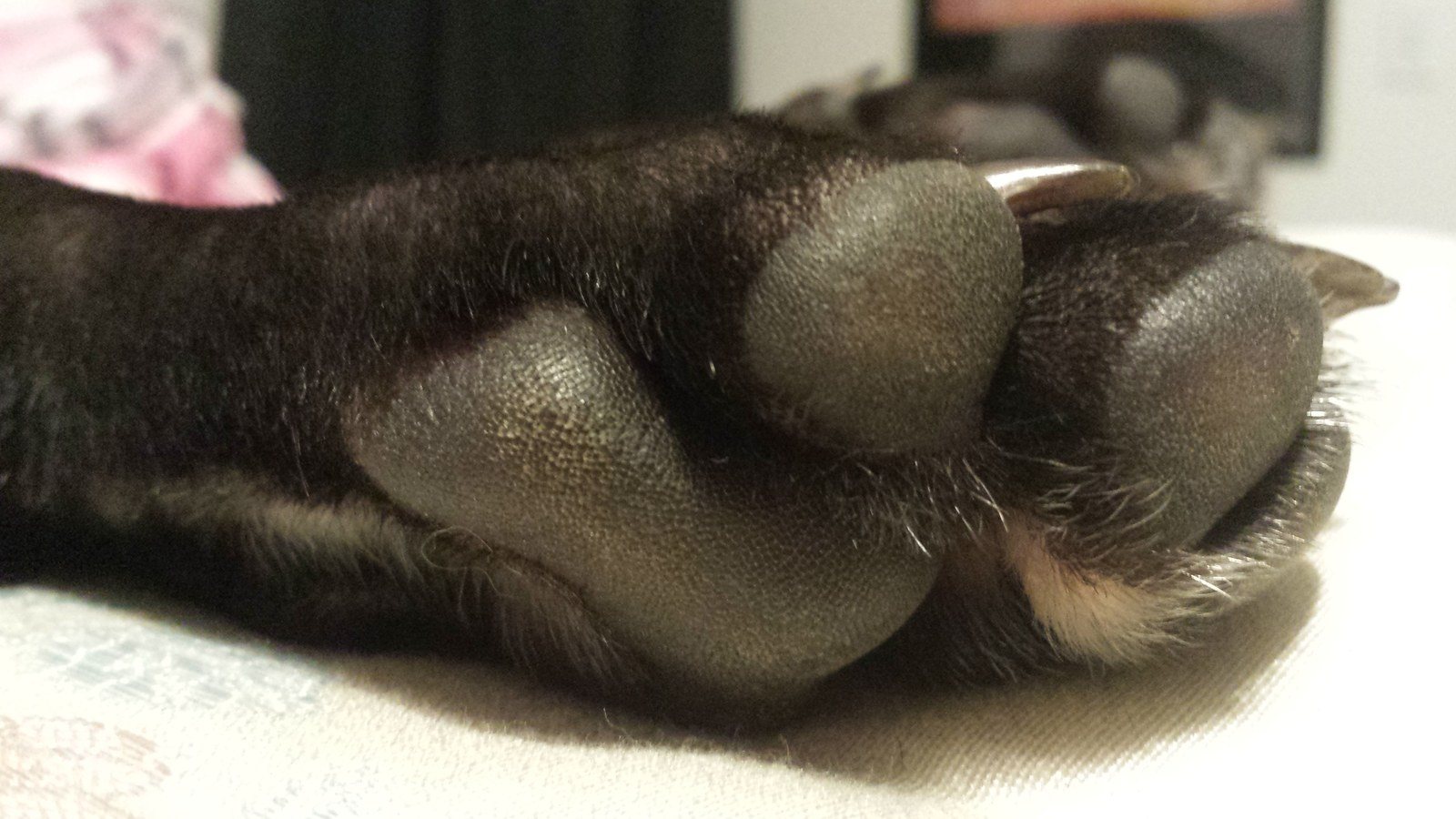 Baby Foot