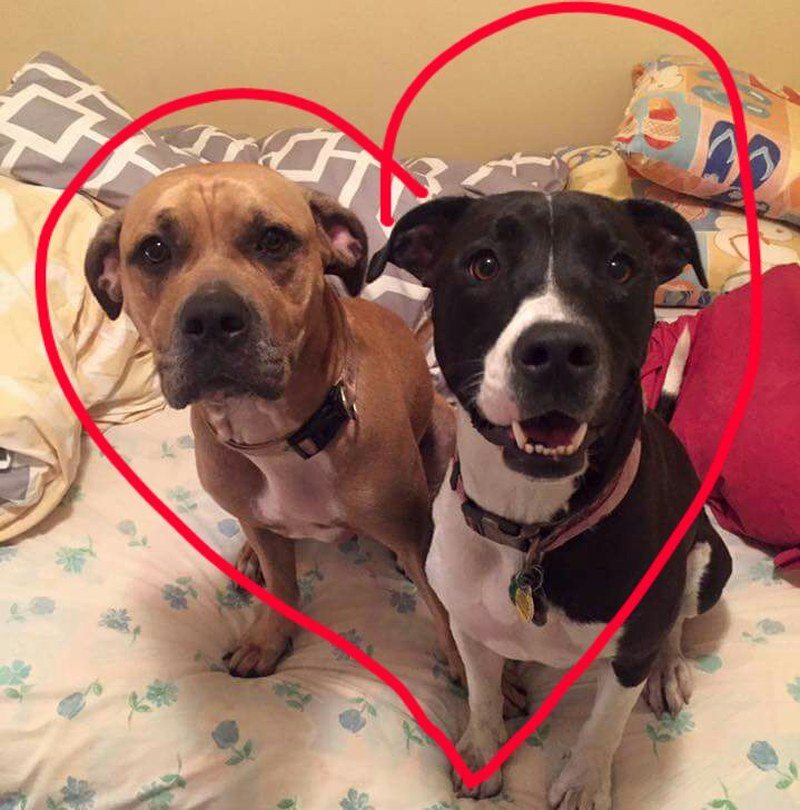 Double Trouble