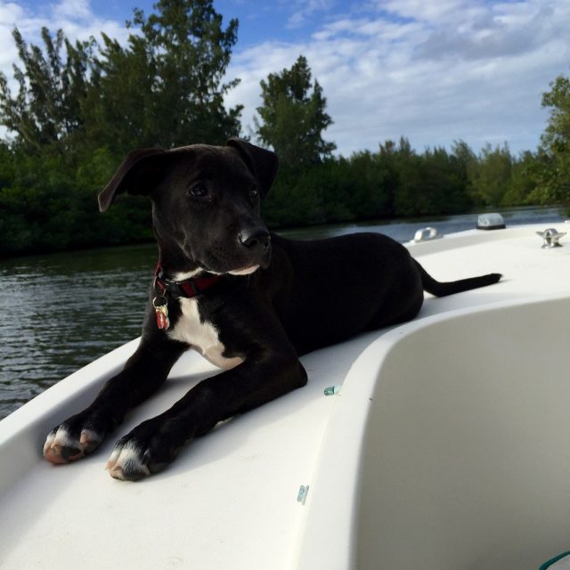 Boat Days Are The Best Days