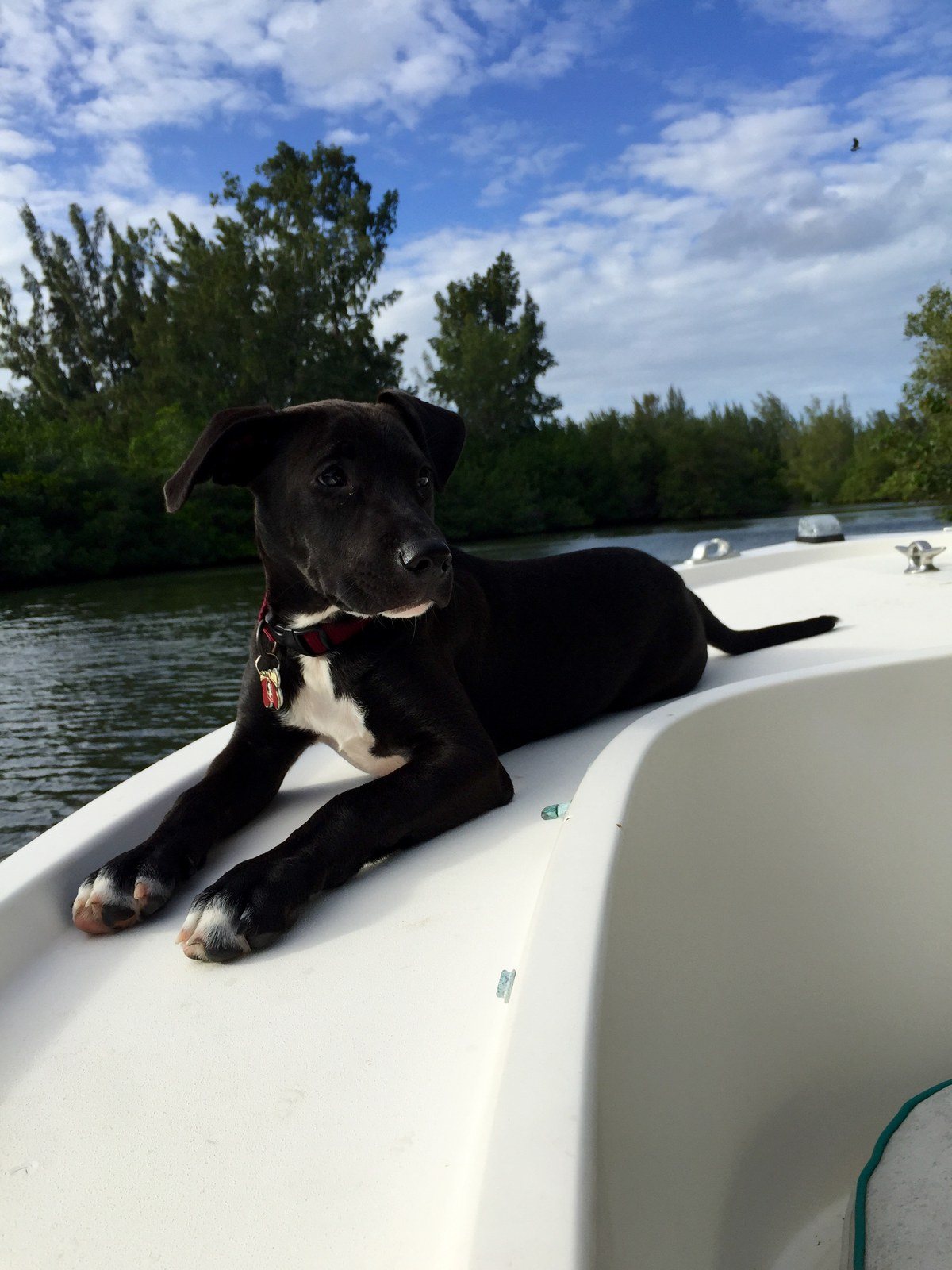 Boat Days Are The Best Days