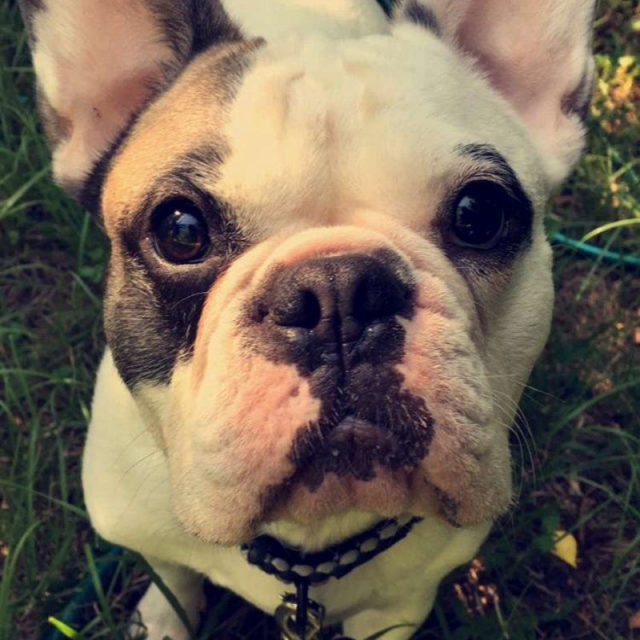Look Into My Eyes
