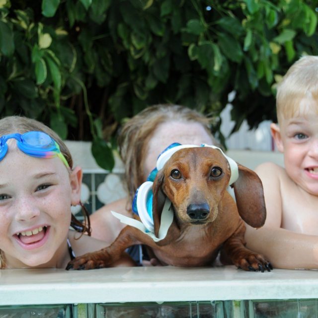Hot Tub For Wieners