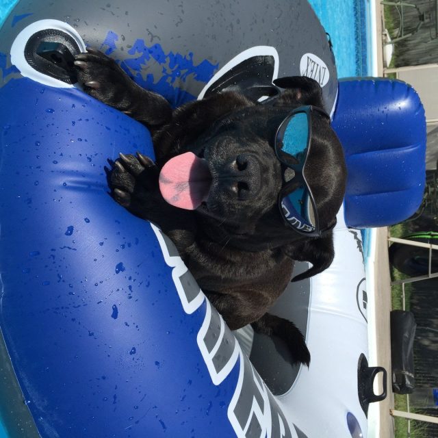 Just Chillin'- Hey, Can I Get A Ice Water Please ?