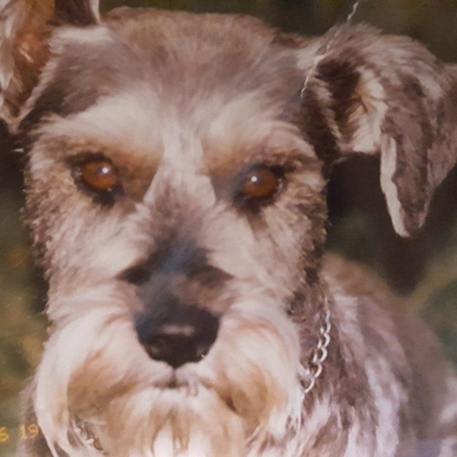 Jack, RIP, My Love!