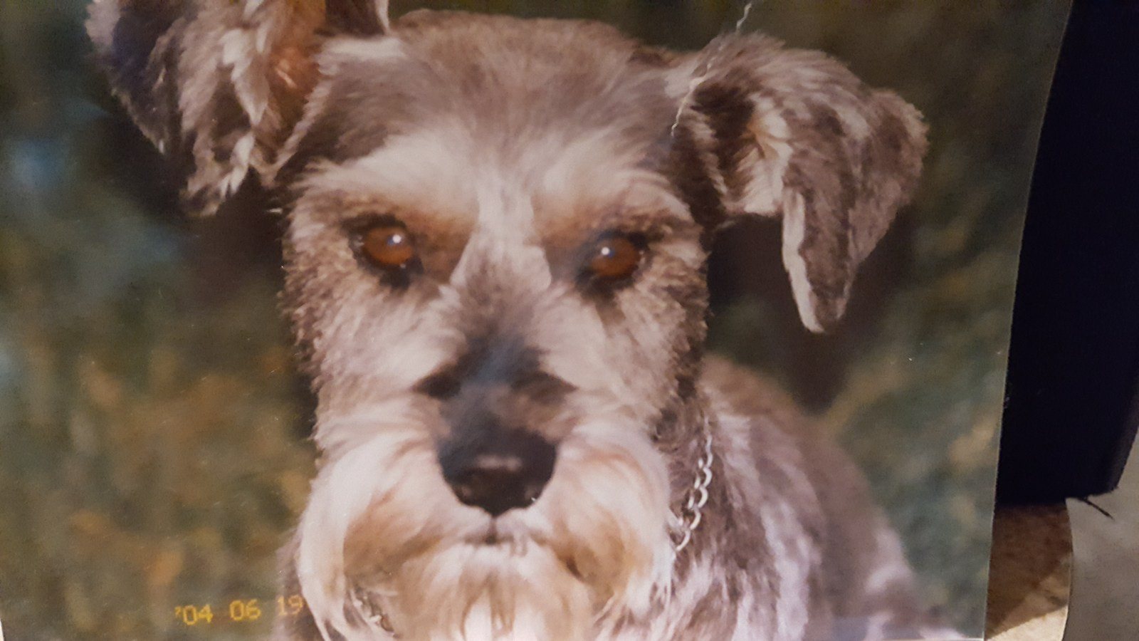Jack, RIP, My Love!