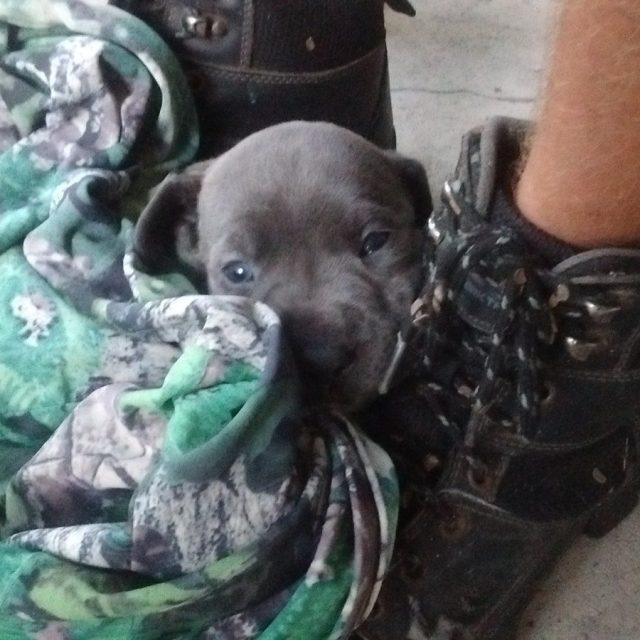 Angel Baby