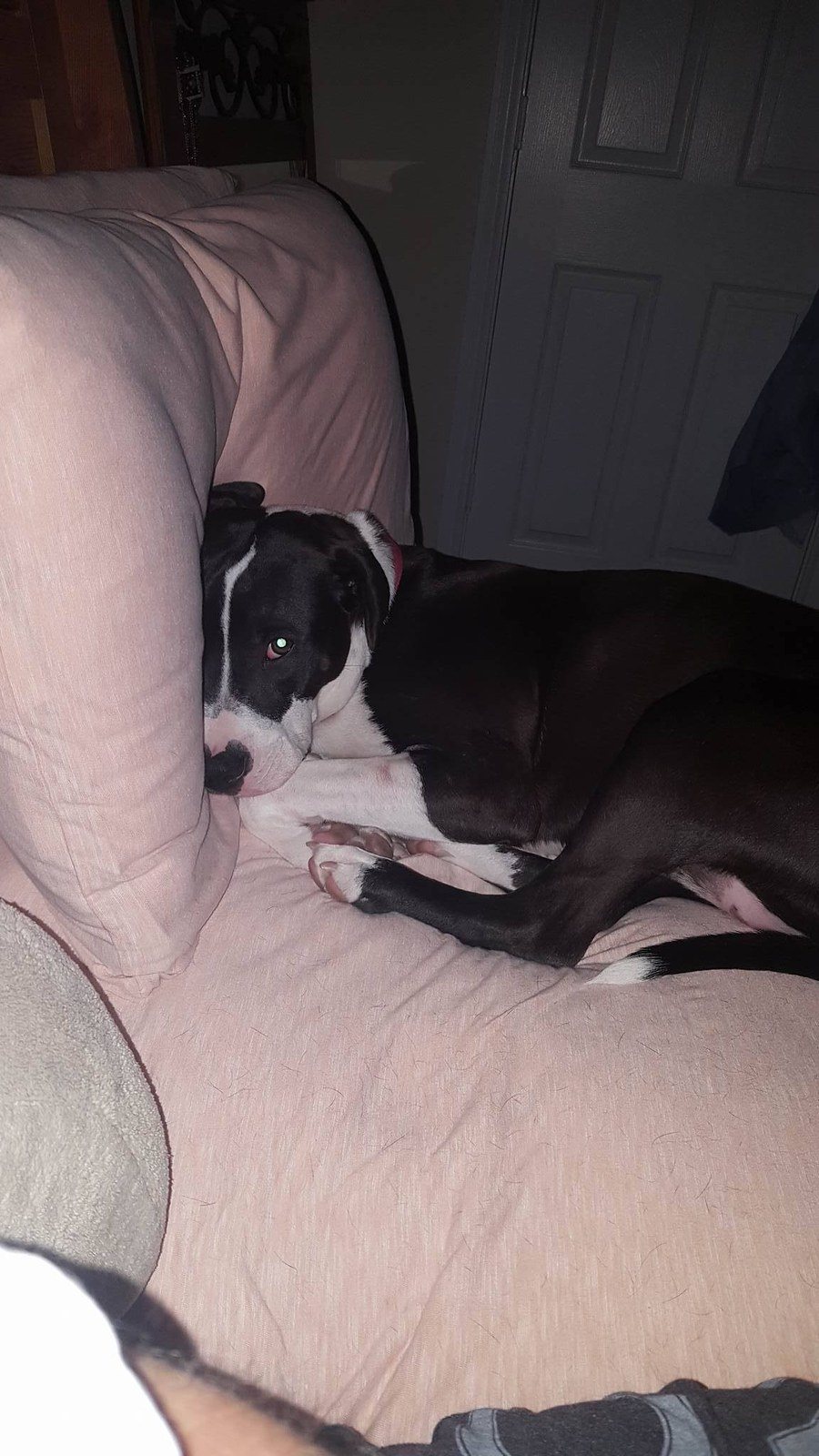 NovaLee Stealing My Pillow