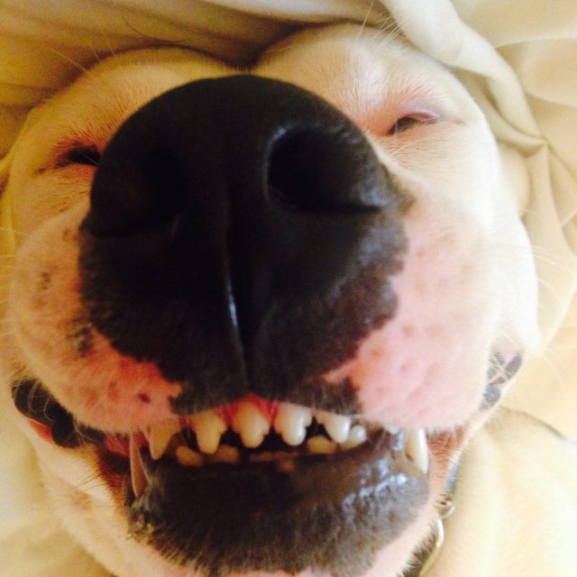 Say Cheese!!!!!