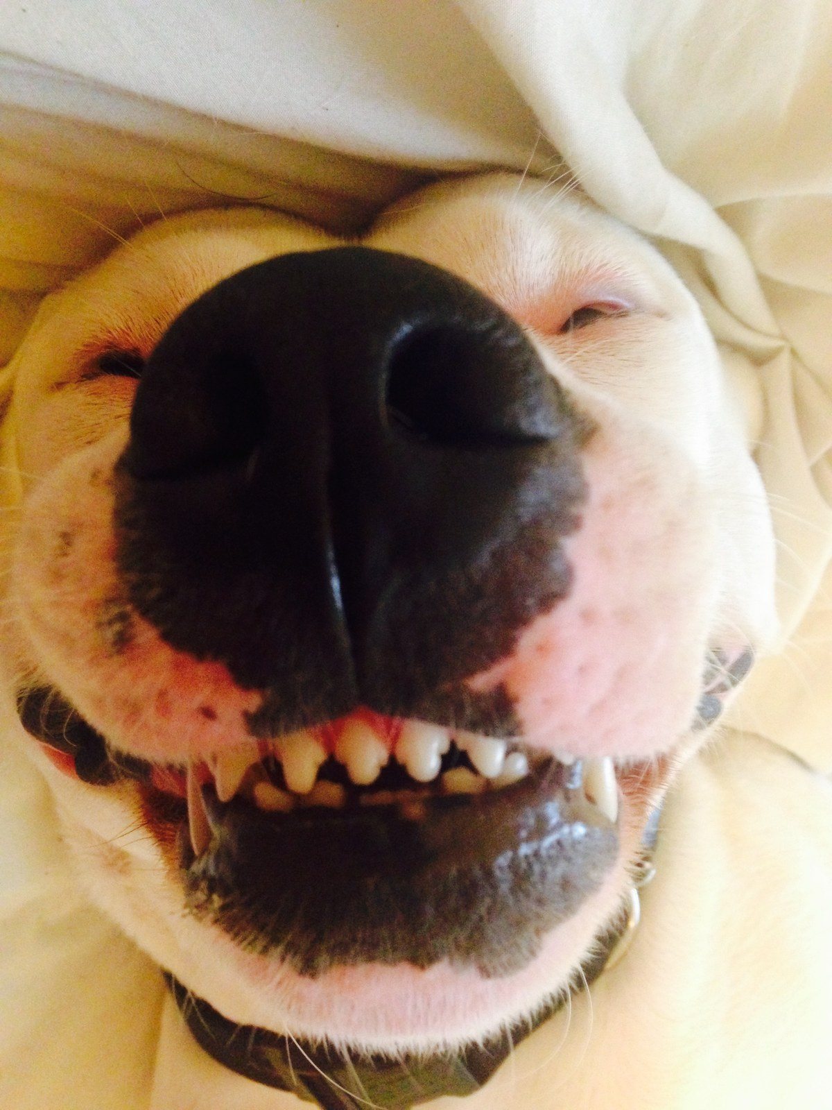 Say Cheese!!!!!