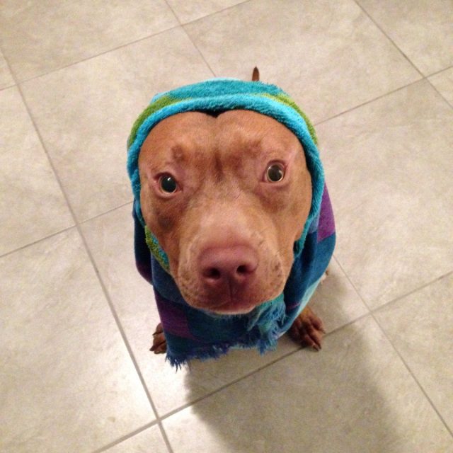 Bath Time!