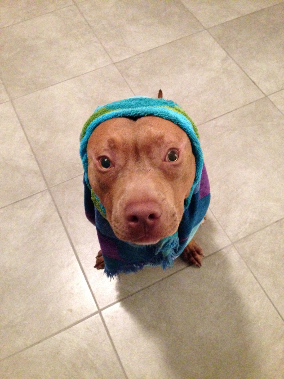 Bath Time!