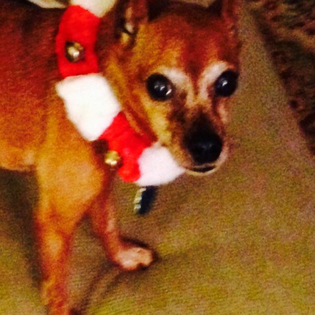 Christmas Greetings!