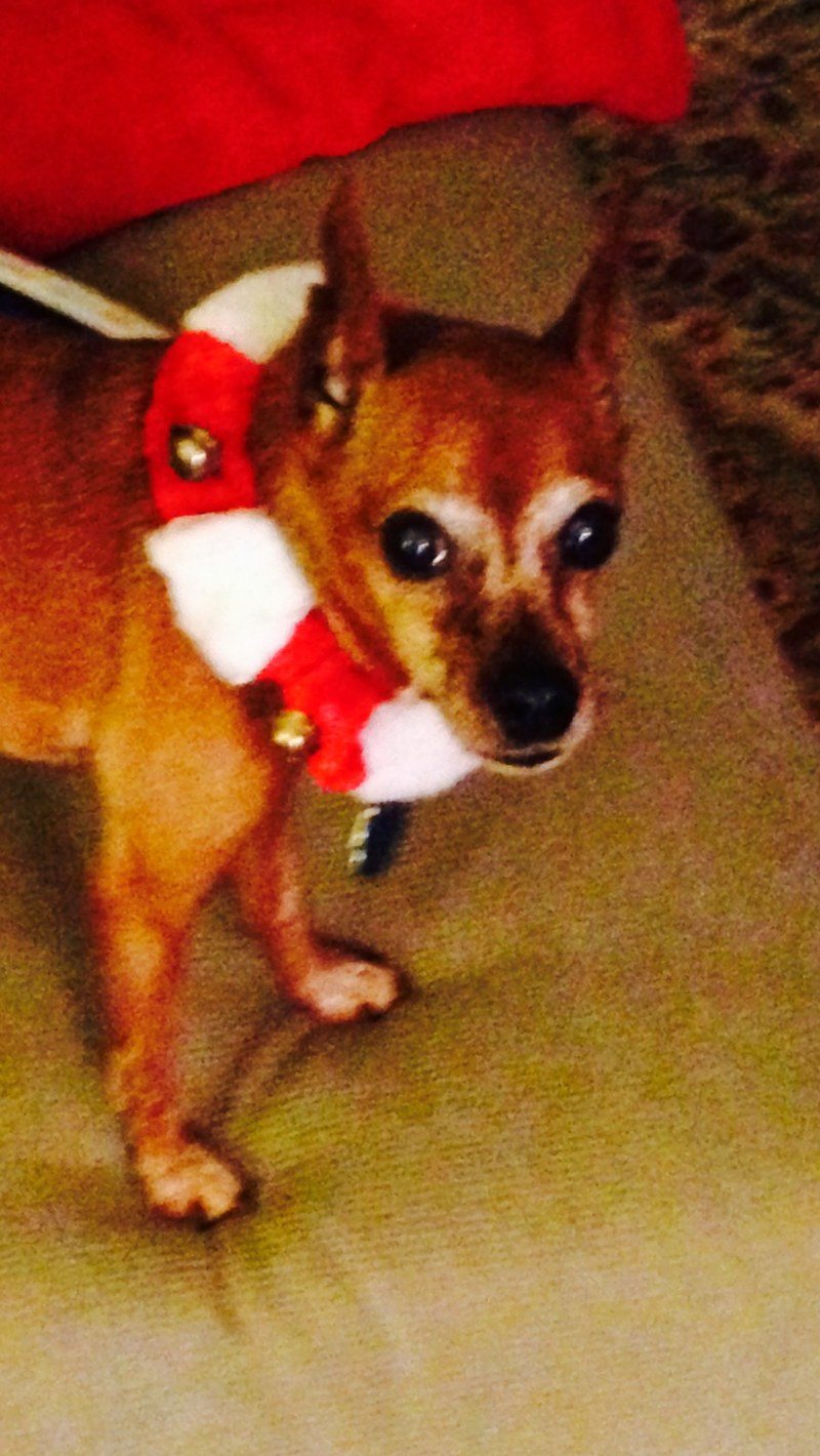 Christmas Greetings!