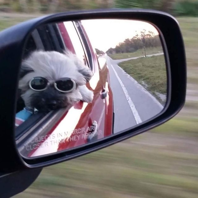 Rico Reflections
