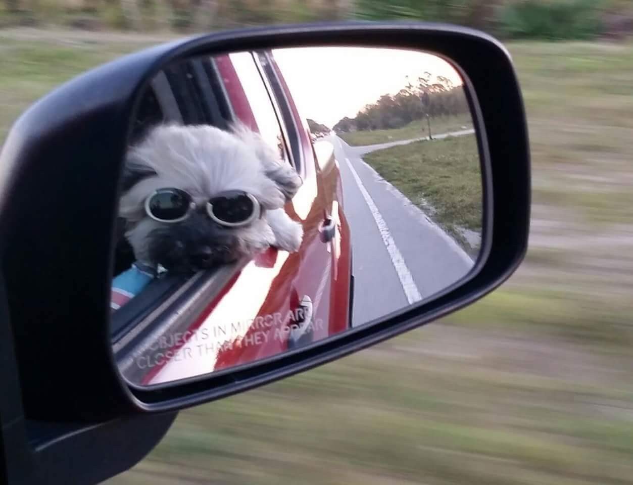 Rico Reflections