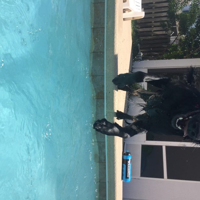 Cannonball!!