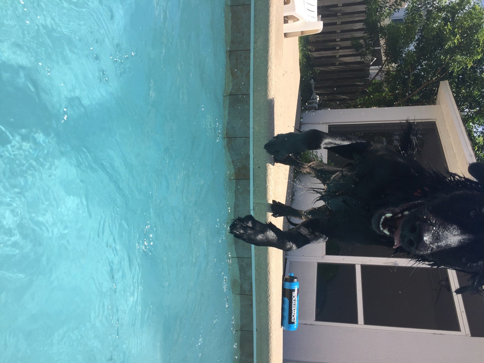 Cannonball!!