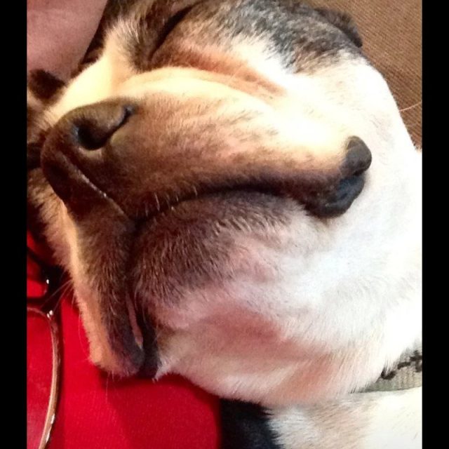 Wonton Loves His Mommy!