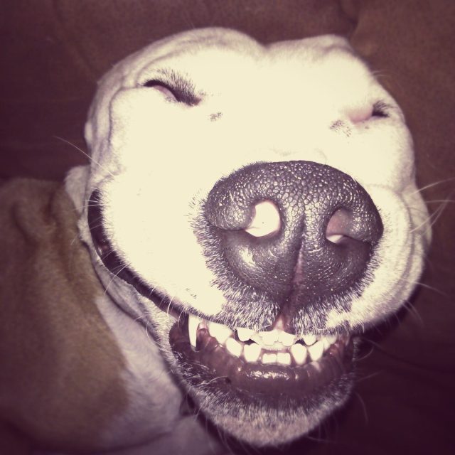 I Love Him!!