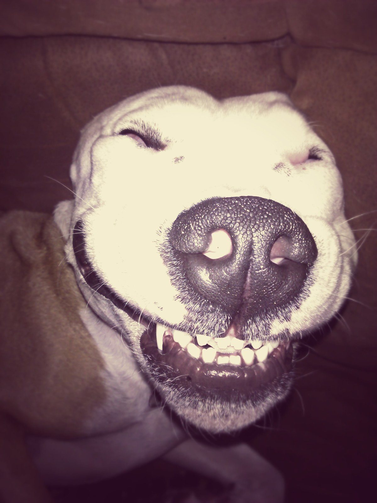 I Love Him!!