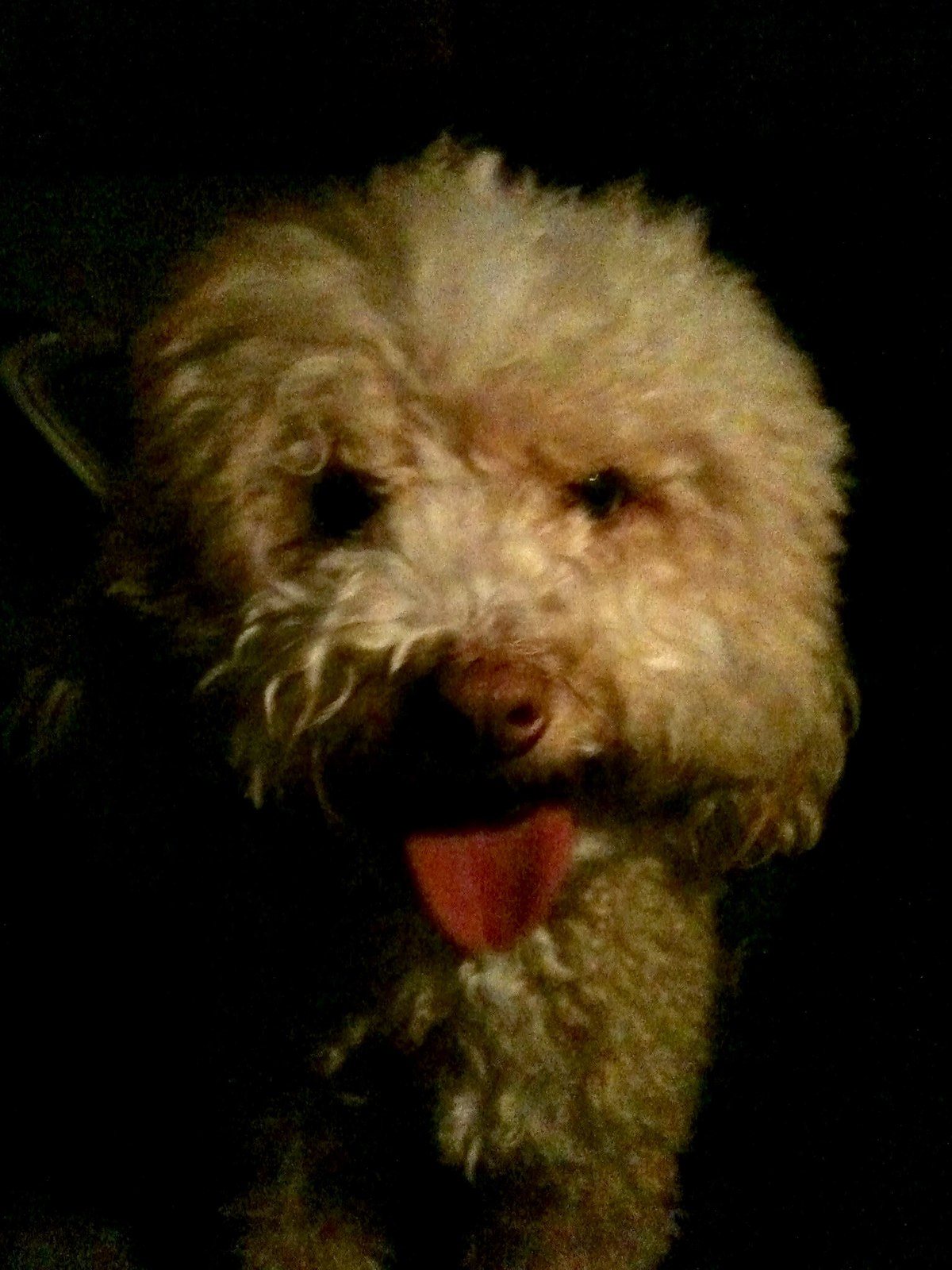 Bobo
