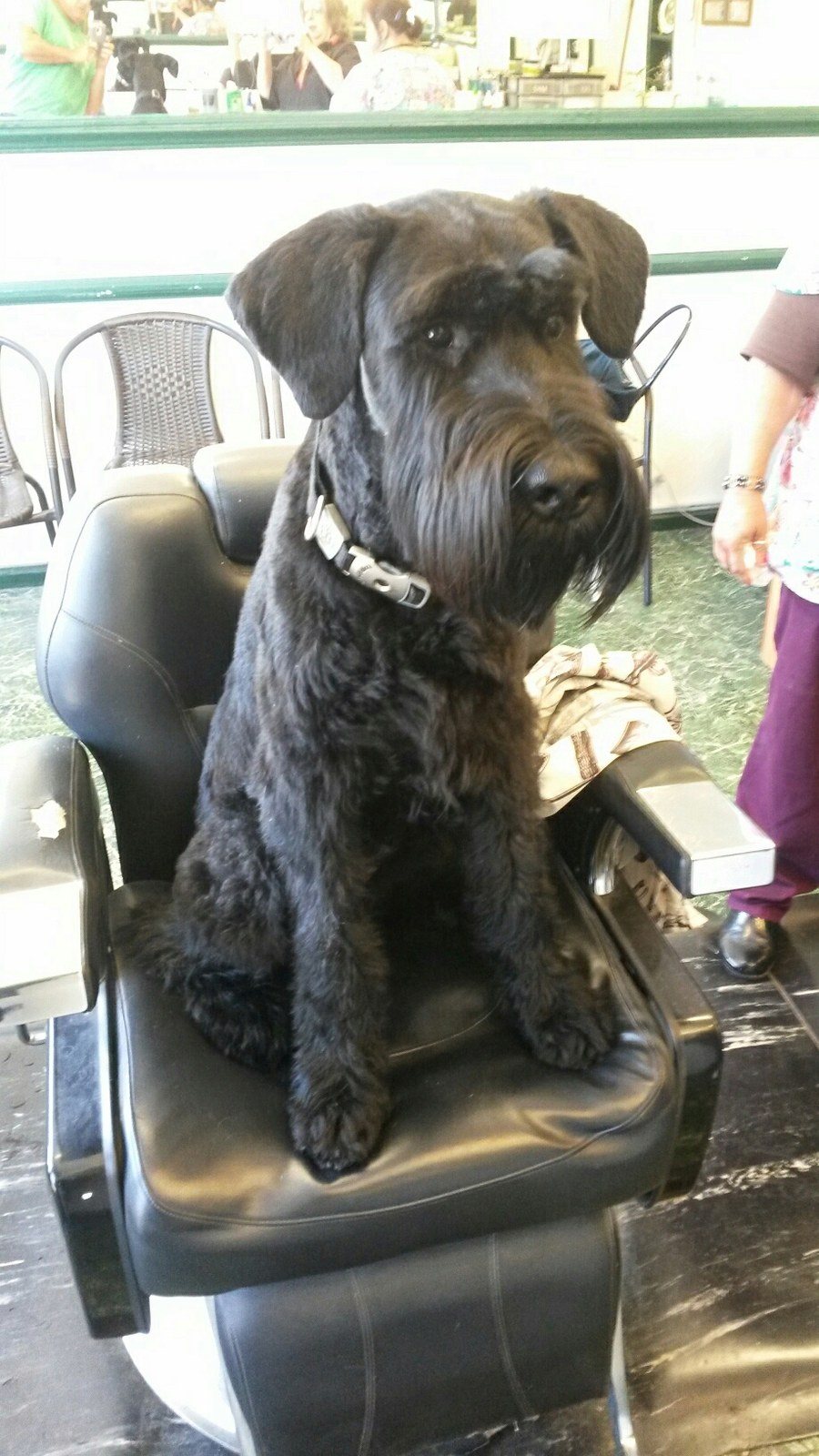 Bruno @ The Barber Shop