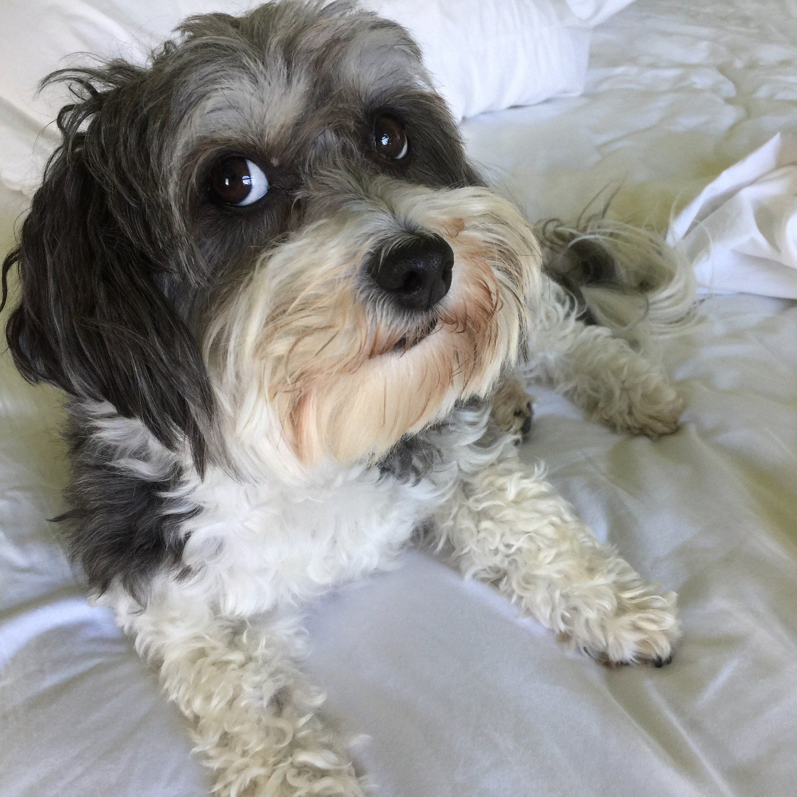 Here's Looking At You!
