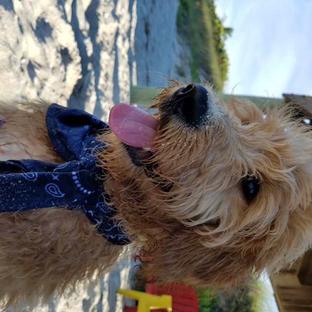 Beach Doodle