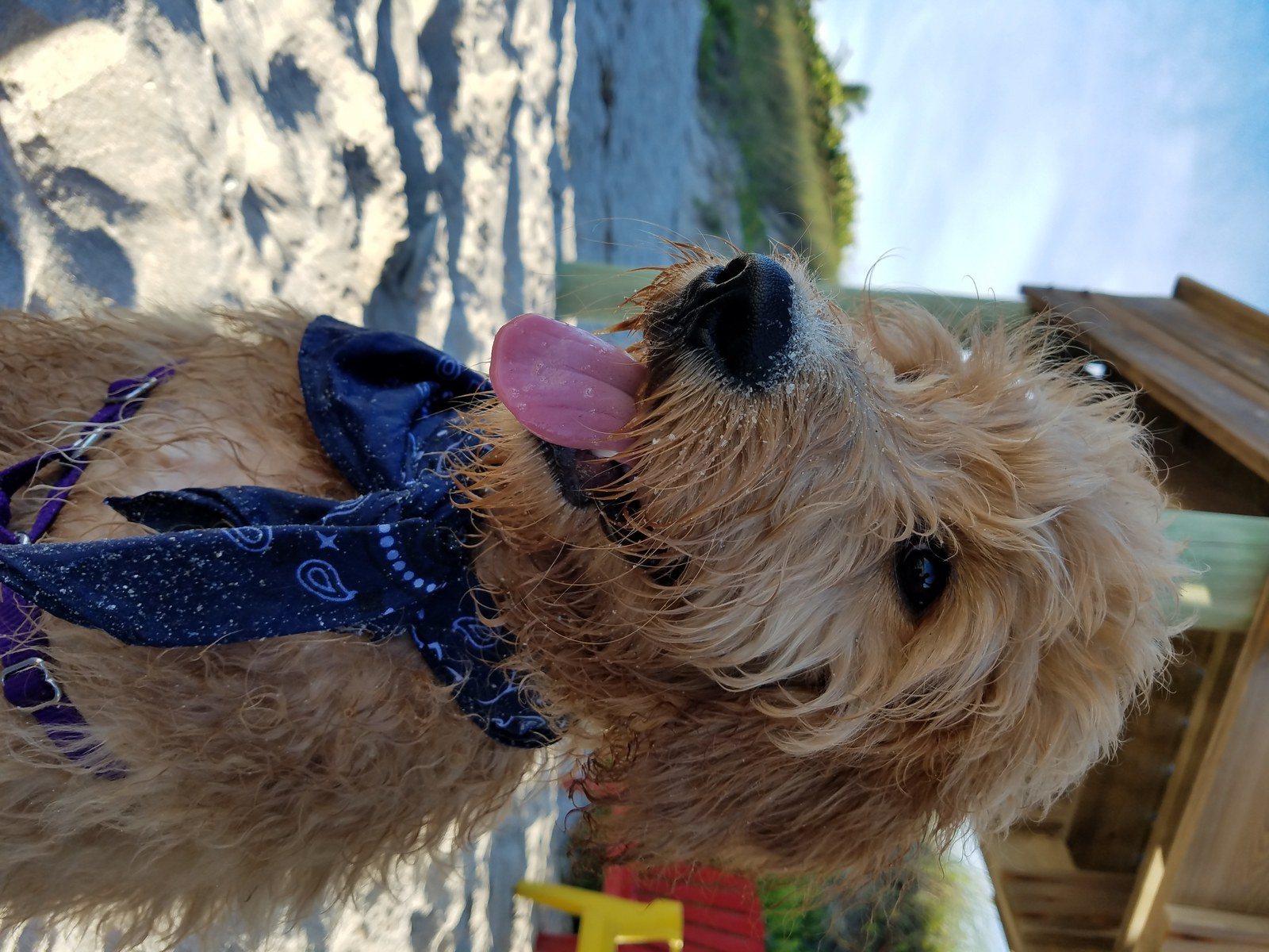 Beach Doodle