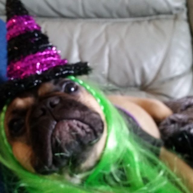 Happy Halloween