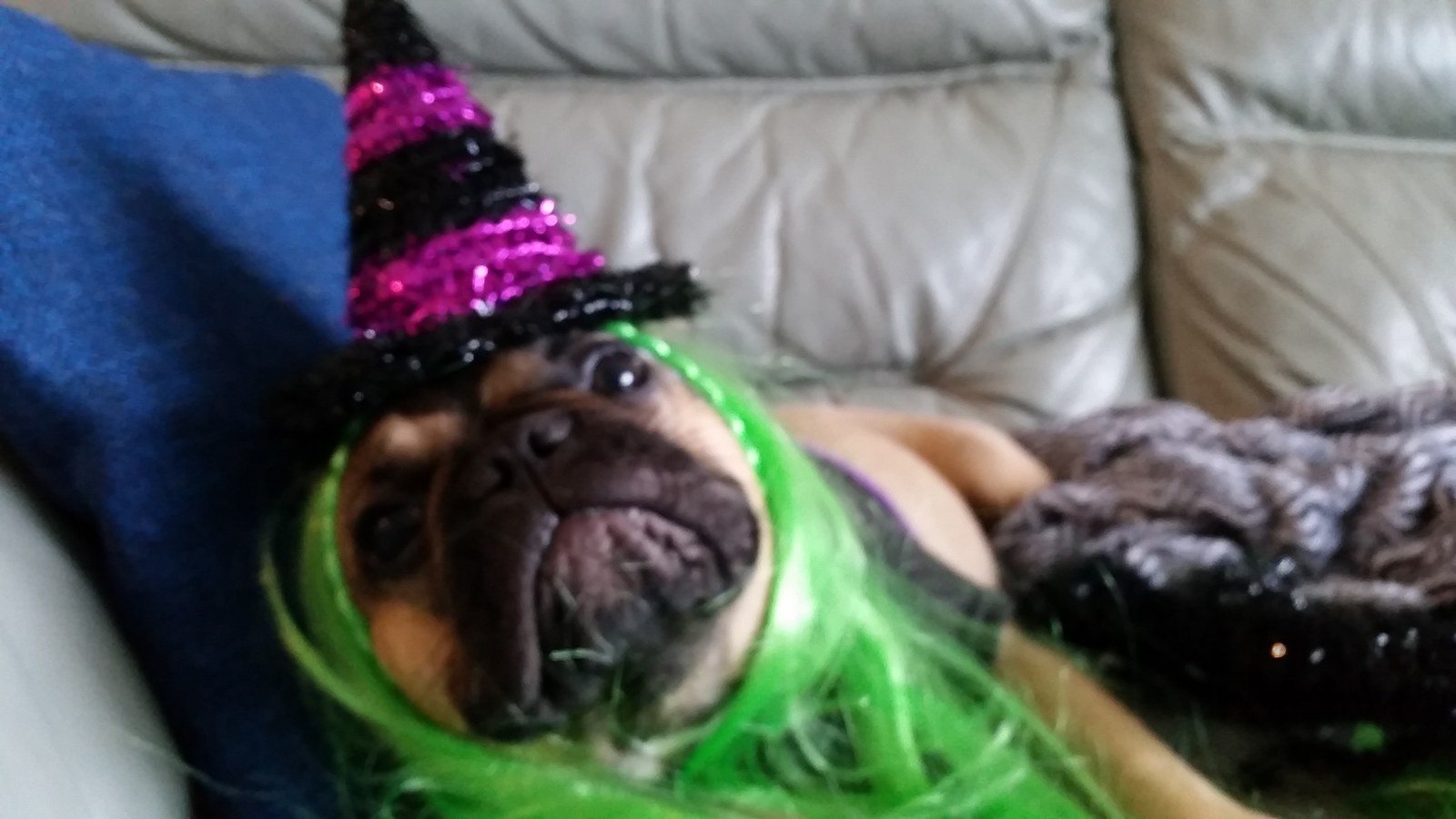 Happy Halloween