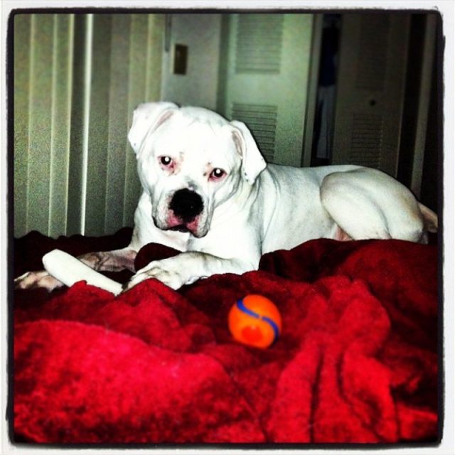 Yes, I Know I'm Handsome!