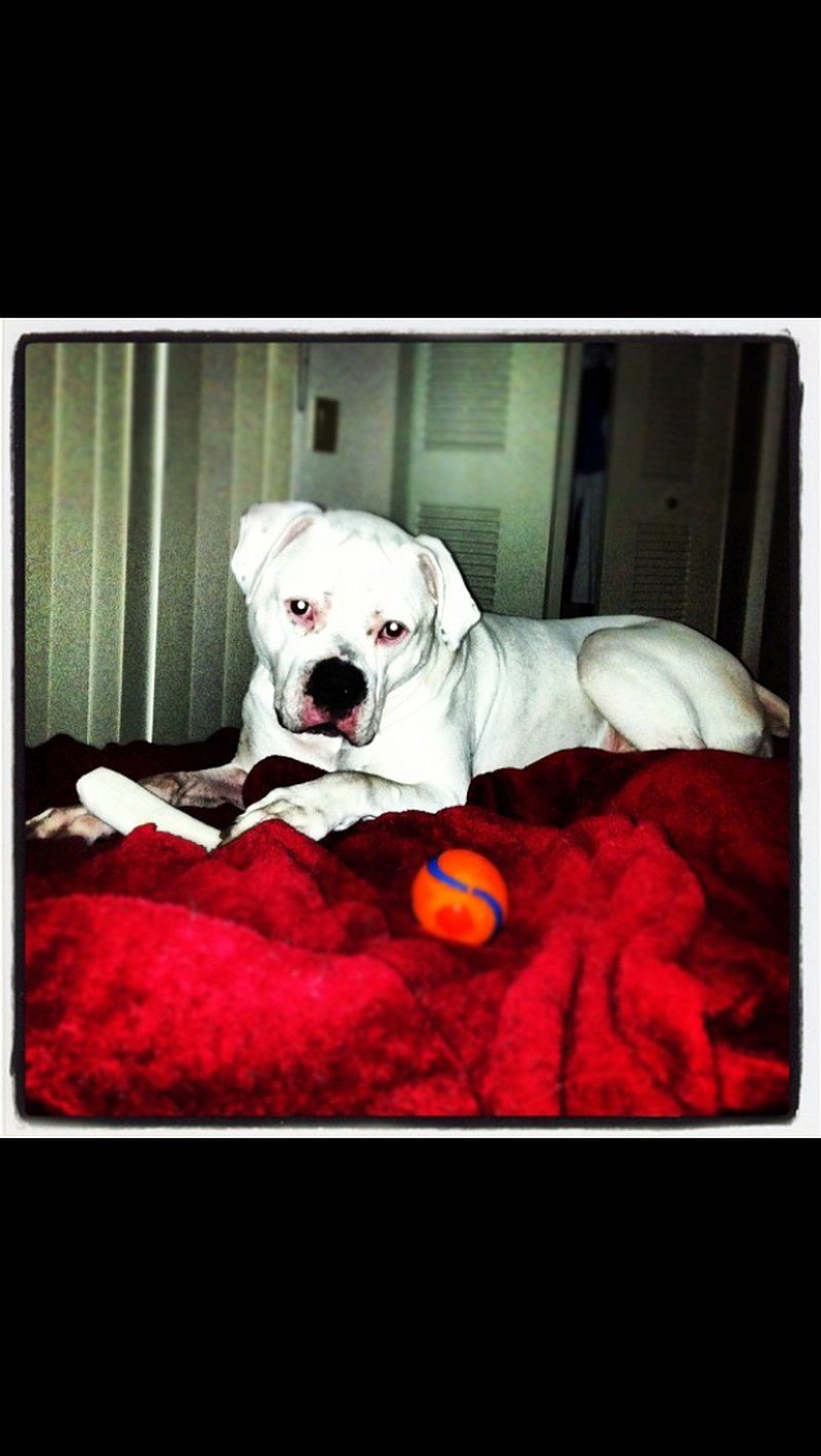 Yes, I Know I'm Handsome!