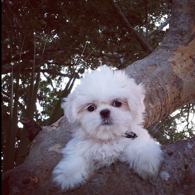Hanging Around