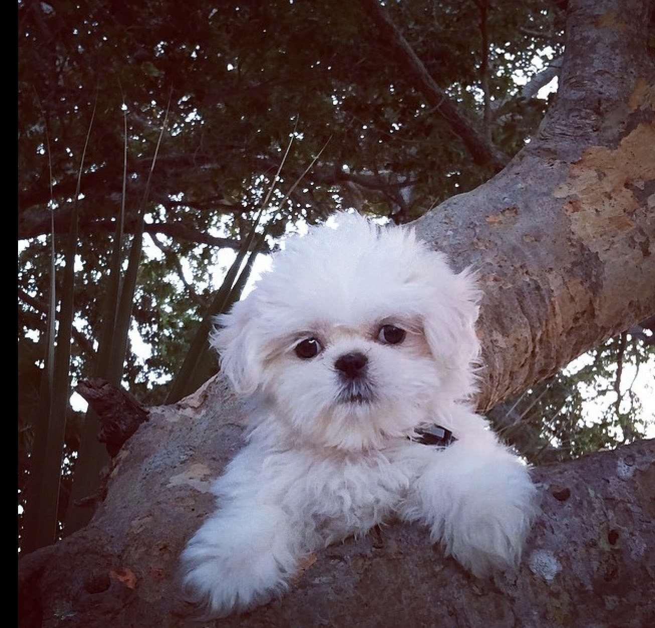 Hanging Around