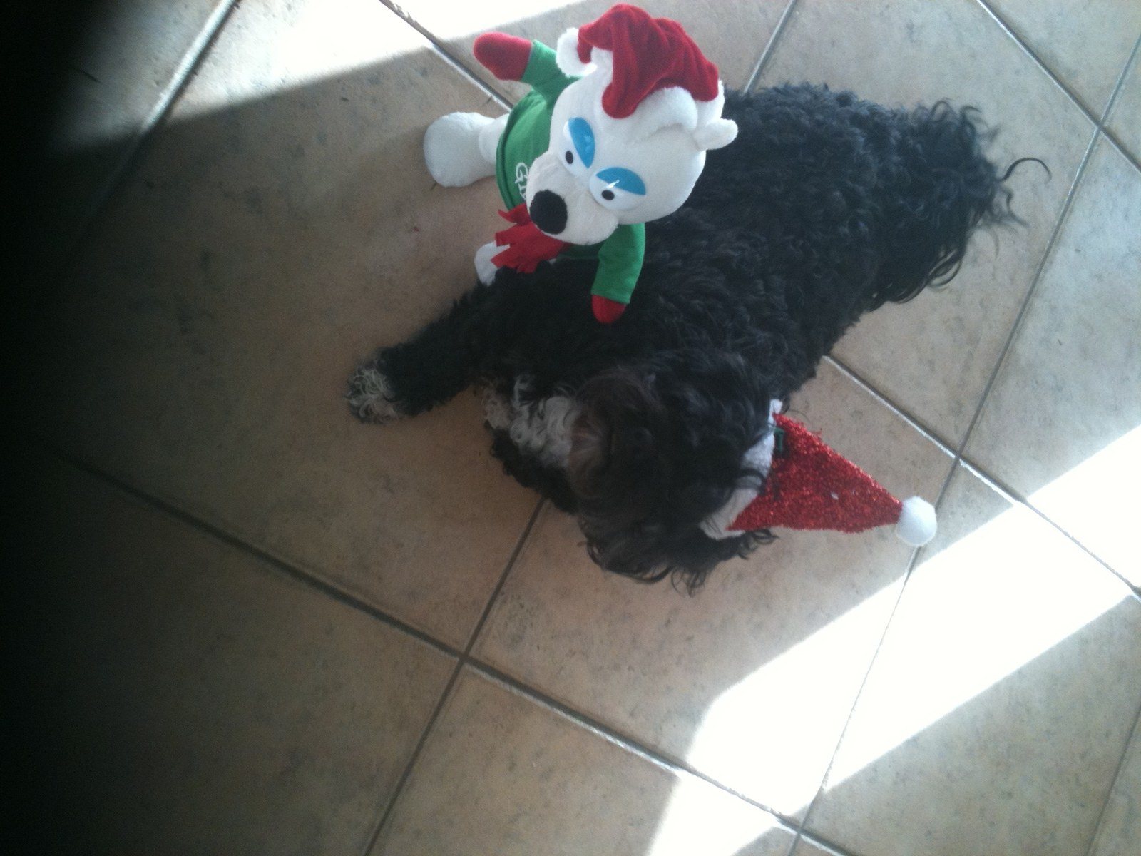 Sammy Claus