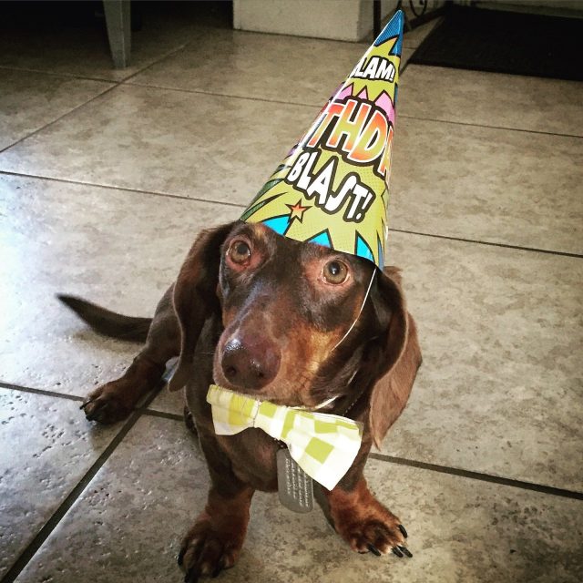 Birthday Boy "Ernie"