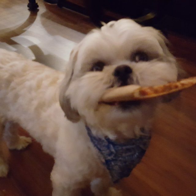 Pizza Pizza Pizza