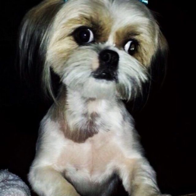 My Mommy Loves Jake And Would Love To Visit Vero When He Is Home. Please Pick He