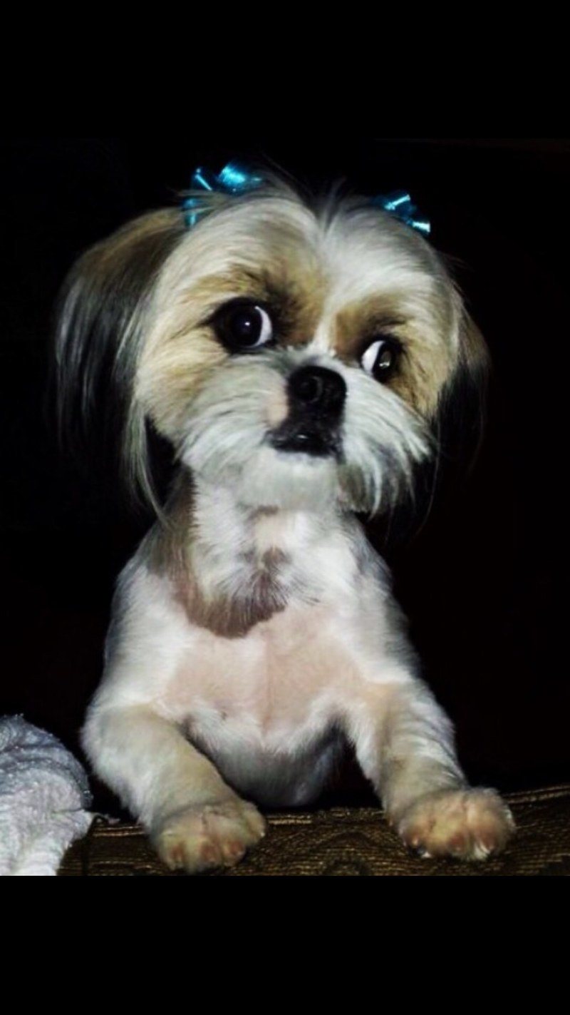 My Mommy Loves Jake And Would Love To Visit Vero When He Is Home. Please Pick He