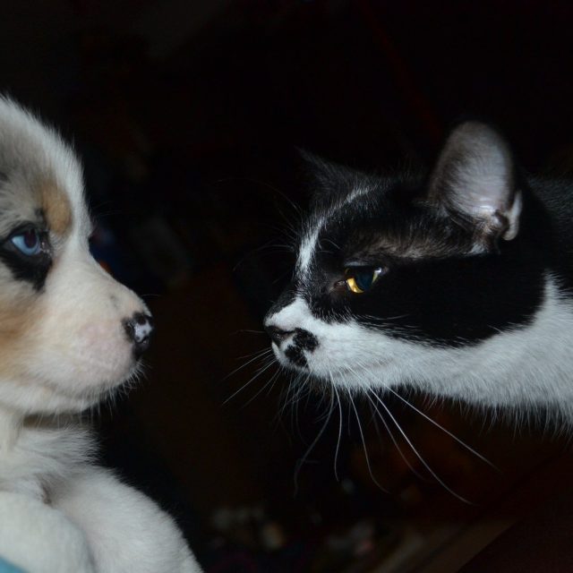 Skyler N Dottie
