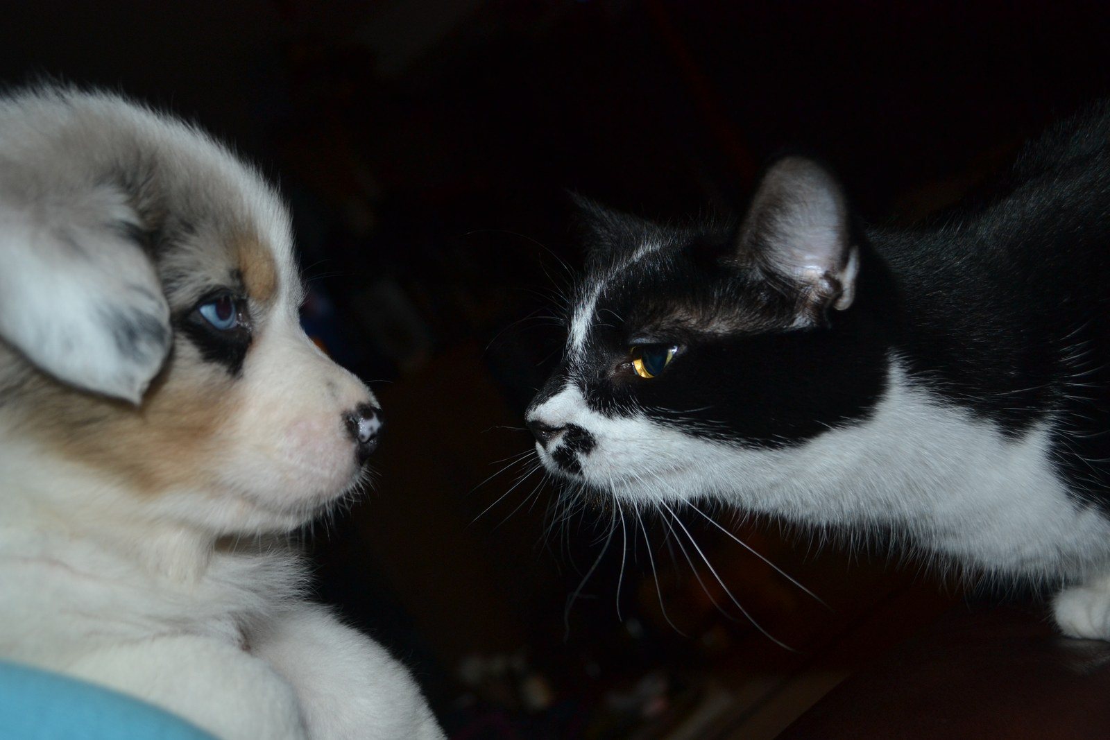 Skyler N Dottie