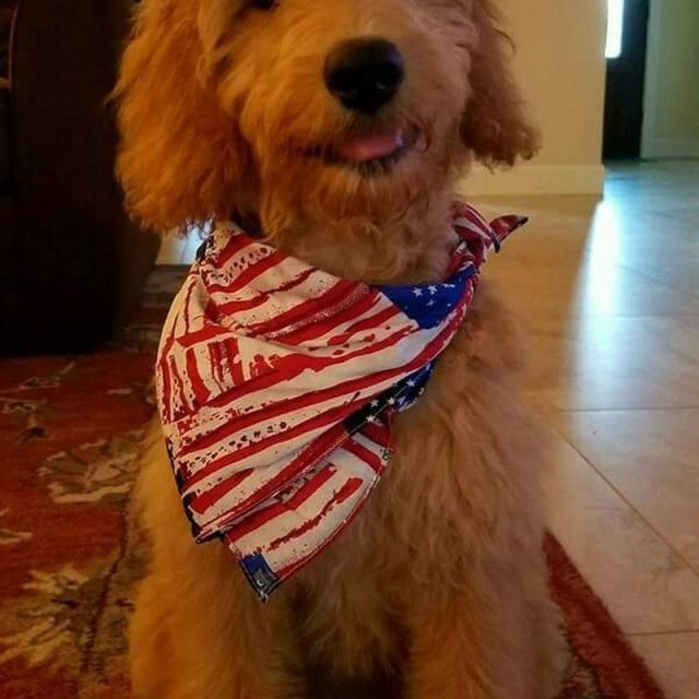 Red White And Blue