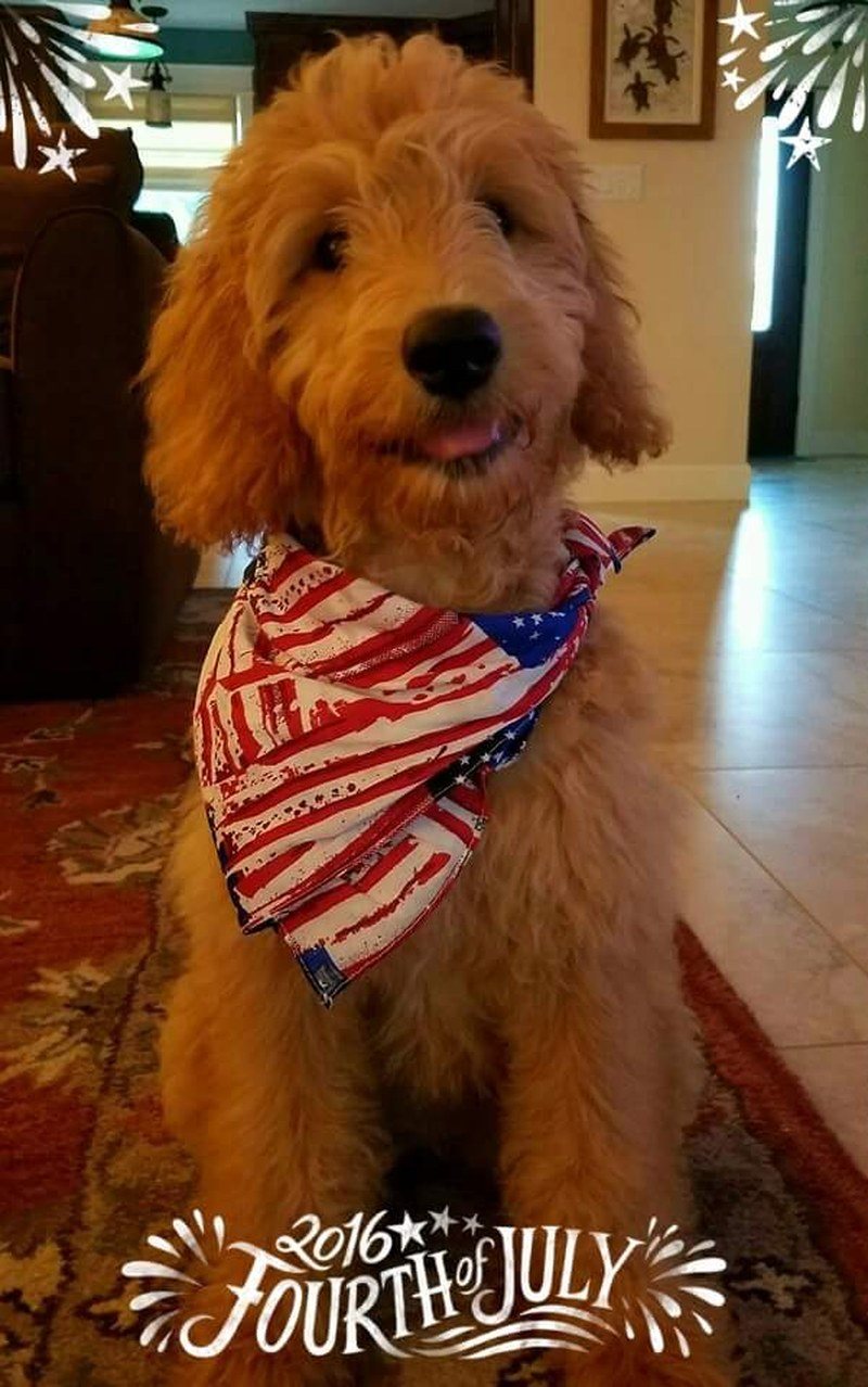 Red White And Blue