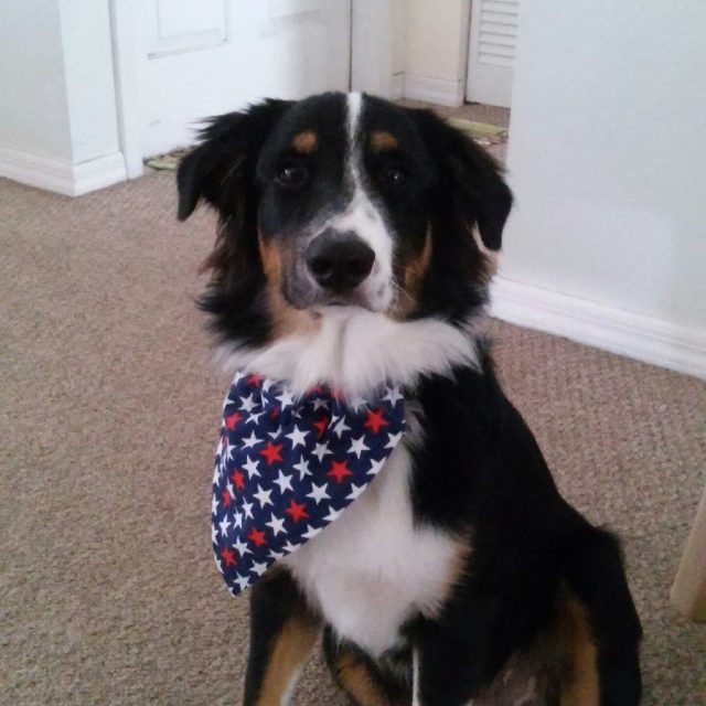 USA!!