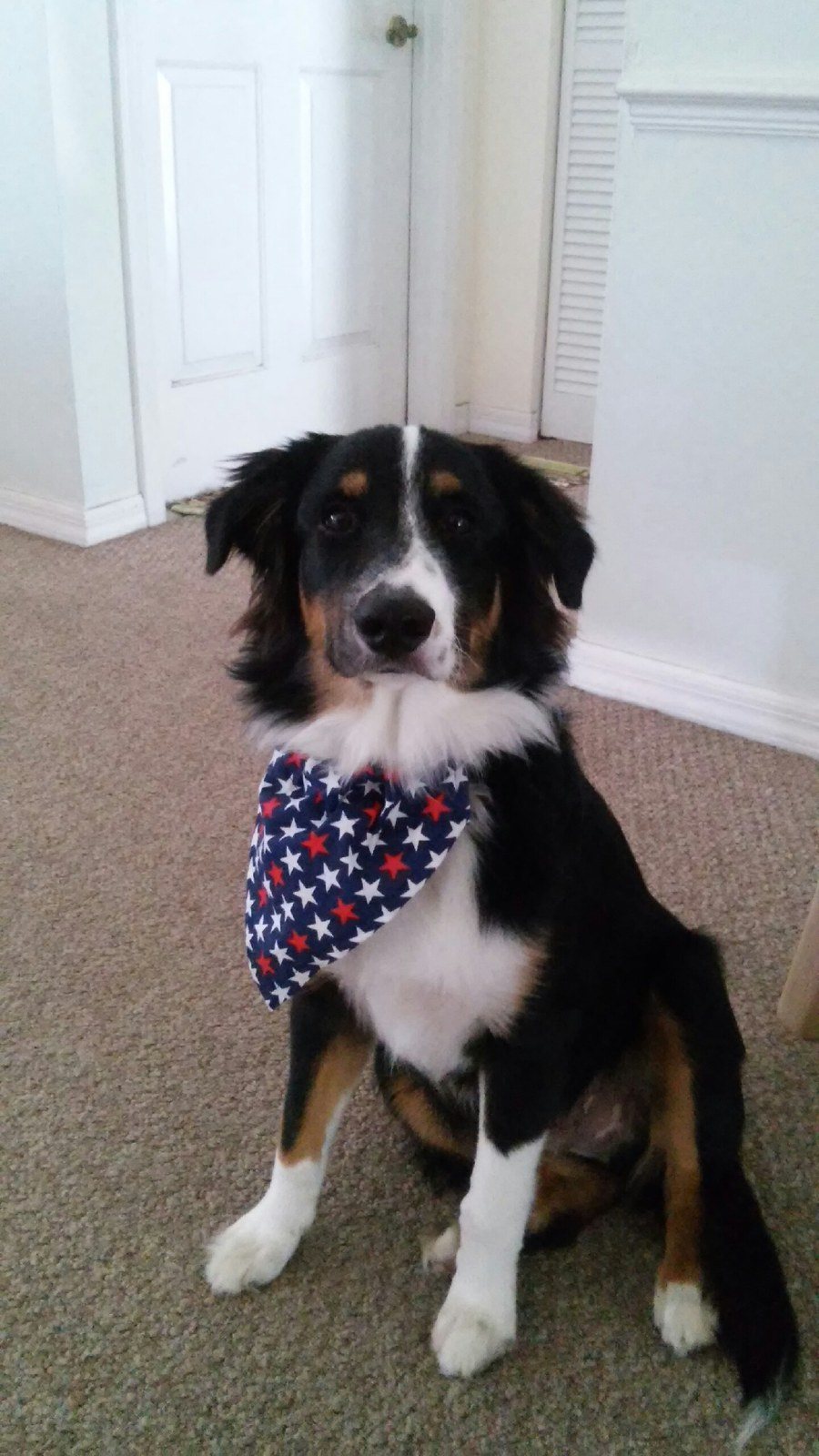 USA!!