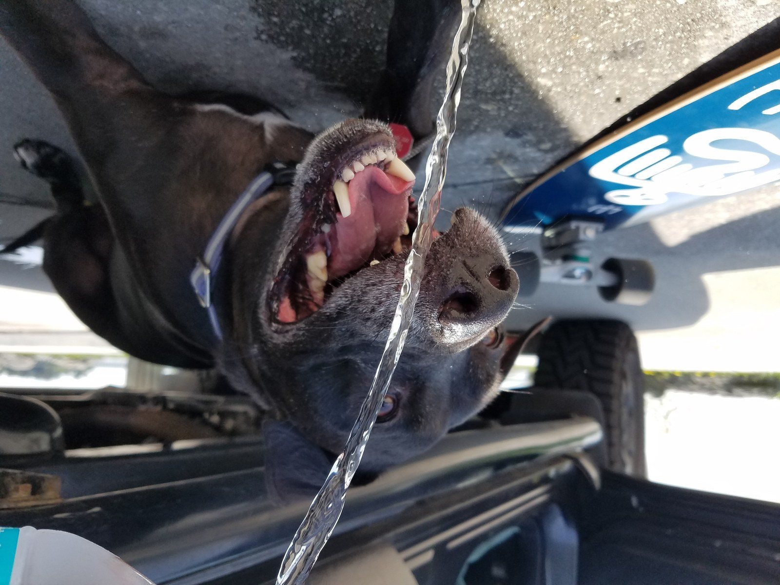 Streaming Smiles