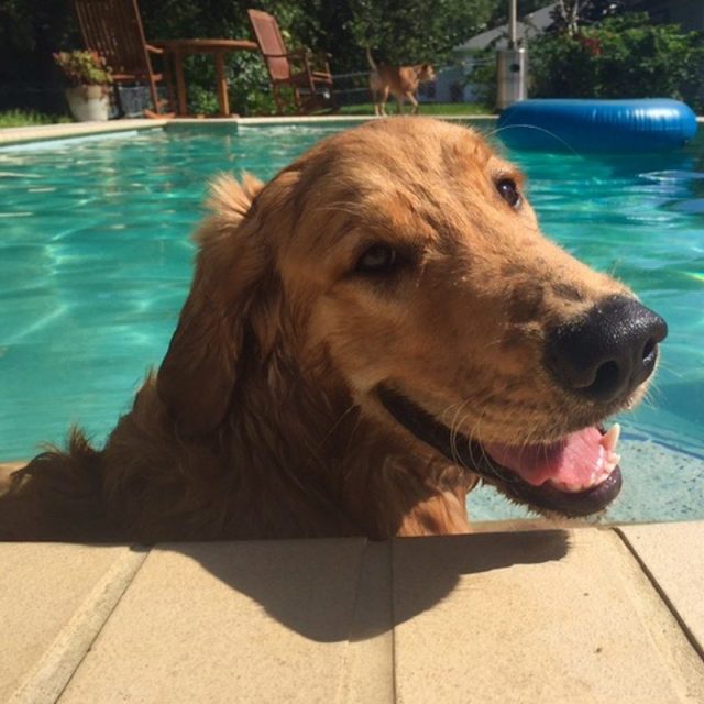 Cooling Off