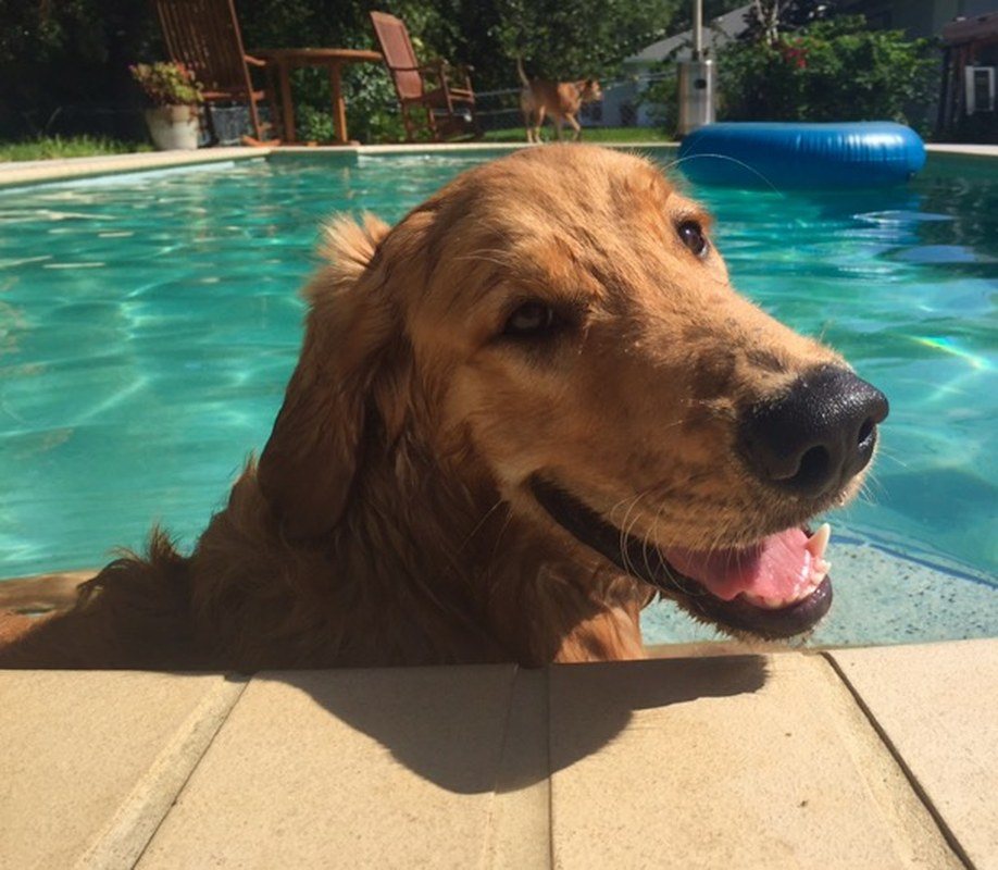 Cooling Off