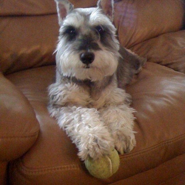 Love To Play